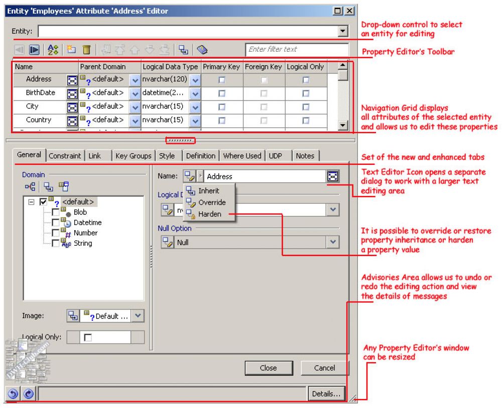 Ca Erwin Data Modeler Price