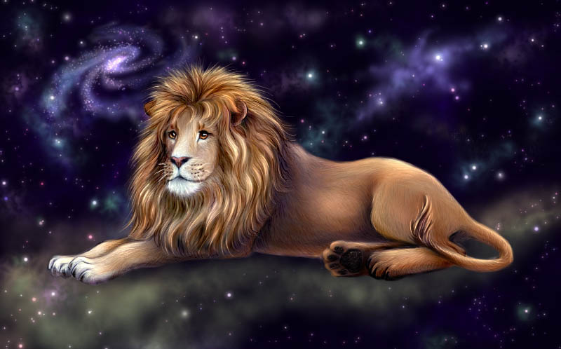 Как нарисовать льва ( лев ).