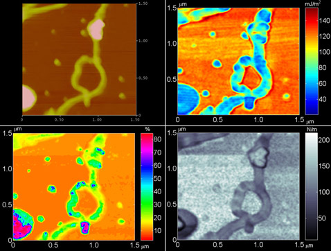 Пример результата работы FIRAT (сверху и слева направо): топография образца, энергия адгезии, время контакта и прочность поверхности (фото Georgia Tech).