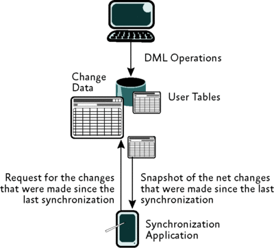       SQL Server - MS SQL Server -   - , ,  