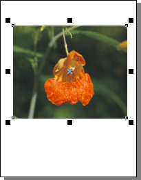 Jigsaw puzzle store creator