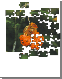 Jigsaw Puzzle Creator For Coreldraw/corel Designer *