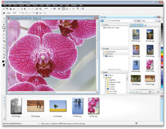 Built-in Content Organizer (Corel CONNECT)