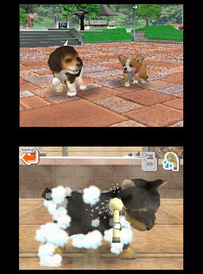   Nintendogs+cats 3D