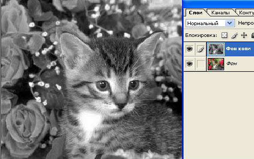 Цветное на черно-белом