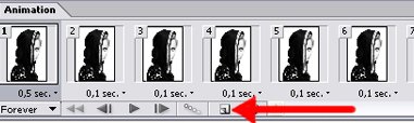    Adobe Photoshop 11