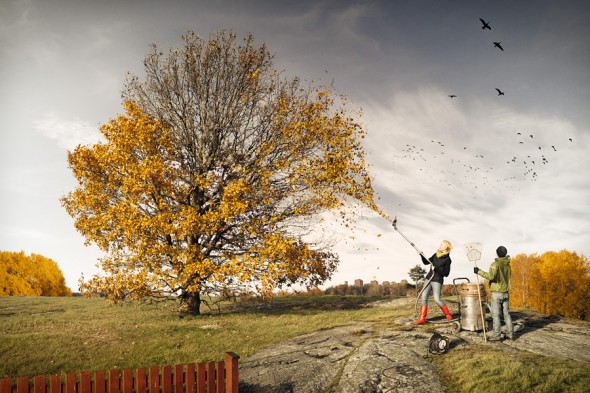 34_erik_johansson