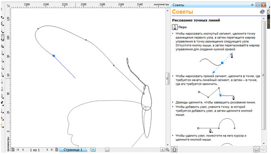   Corel Draw