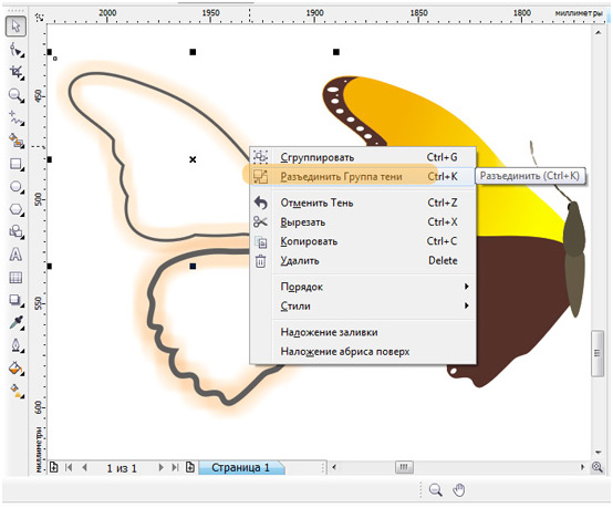   Corel Draw