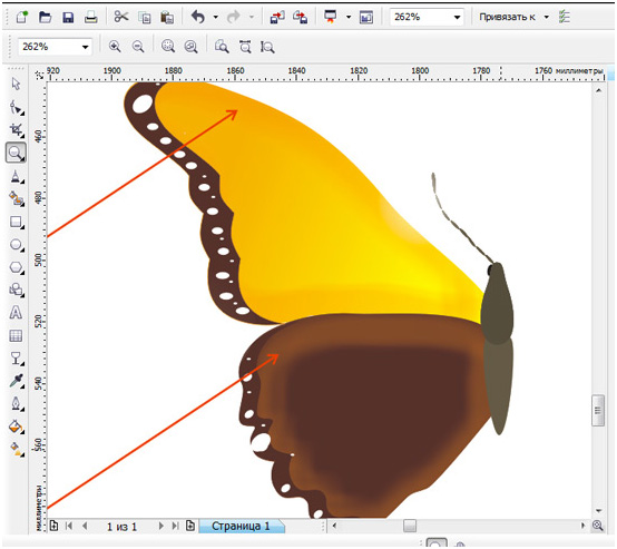   Corel Draw