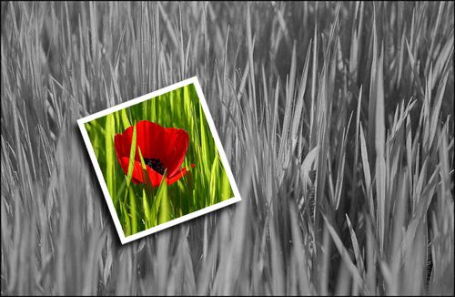 Кадр в кадре в Adobe Photoshop