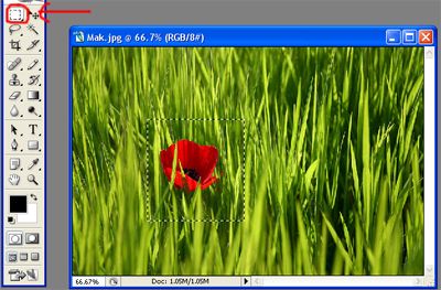 Создаем кадр в кадре в Adobe Photoshop