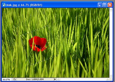 Создаем кадр на кадре в Adobe Photoshop