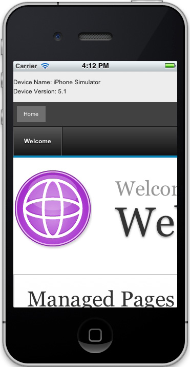  15.  iOS  WebSphere Portal  API Worklight 