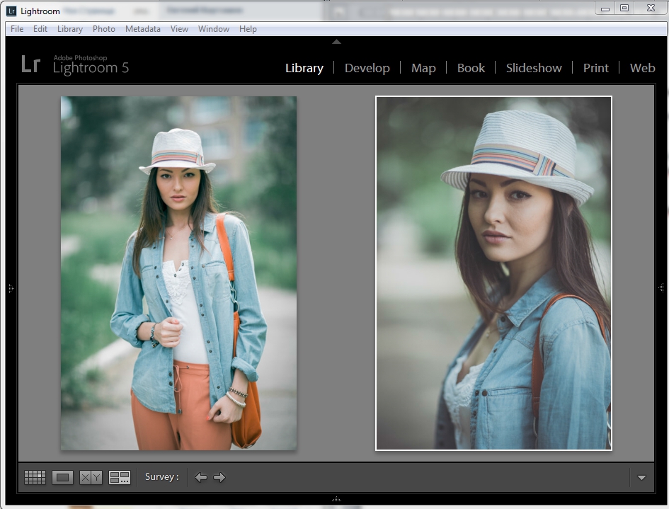 Adobe Lightroom Vintage Presets Free Download