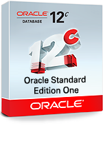 Oracle Database Standard Edition One