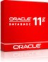 Oracle Database 11g Standard Edition One    ,            ,    ,    /.    ,             , Oracle Database 11g Standard Edition One           .  Standard Edition One    ,     .