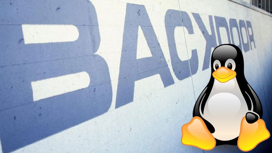 Американские спецслужбы хотели поместить бэкдор в ядро Linux