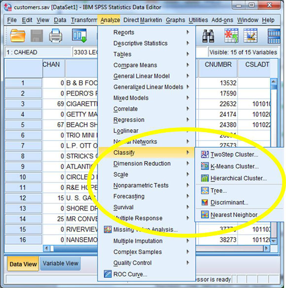 The standard classification submenu in SPSS Statistics