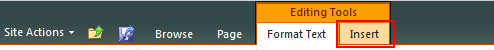 Figure 18 - The Insert tab under the Editing Tools section on SharePoint Main site