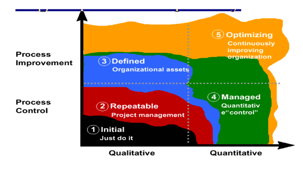 Maturity Level Principles: Organizational Capability