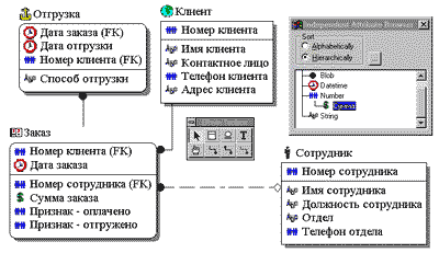 Erwin   -  11