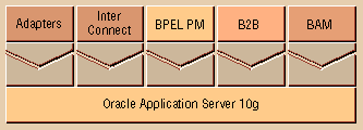  Oracle Integration 10g      Oracle